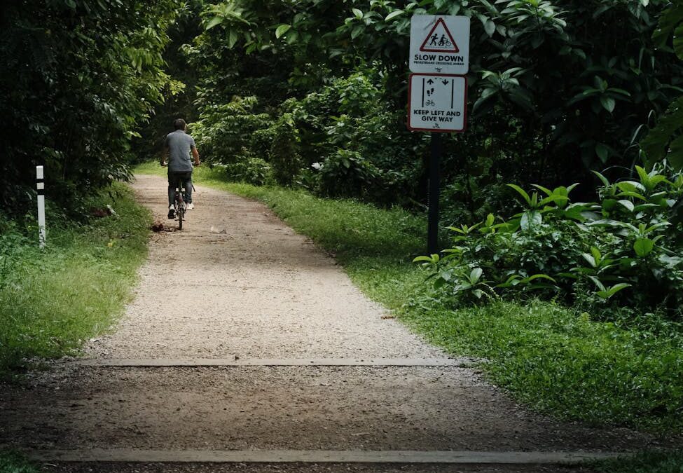 cyclist enjoying a scenic forest path