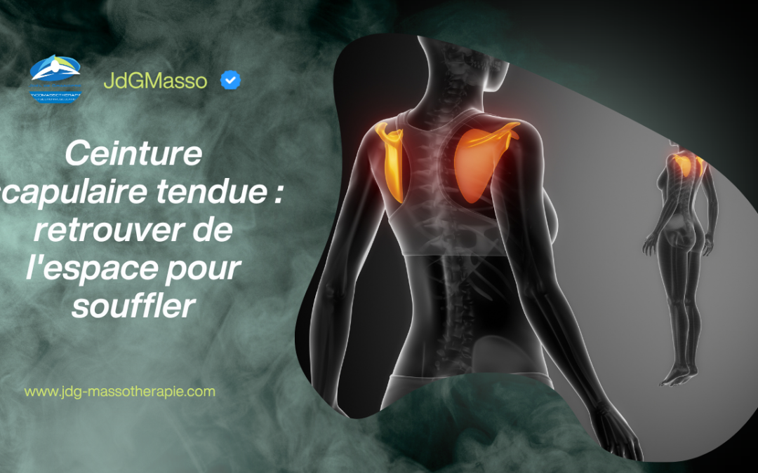 Ceinture scapulaire tendue : retrouver de l&rsquo;espace pour souffler