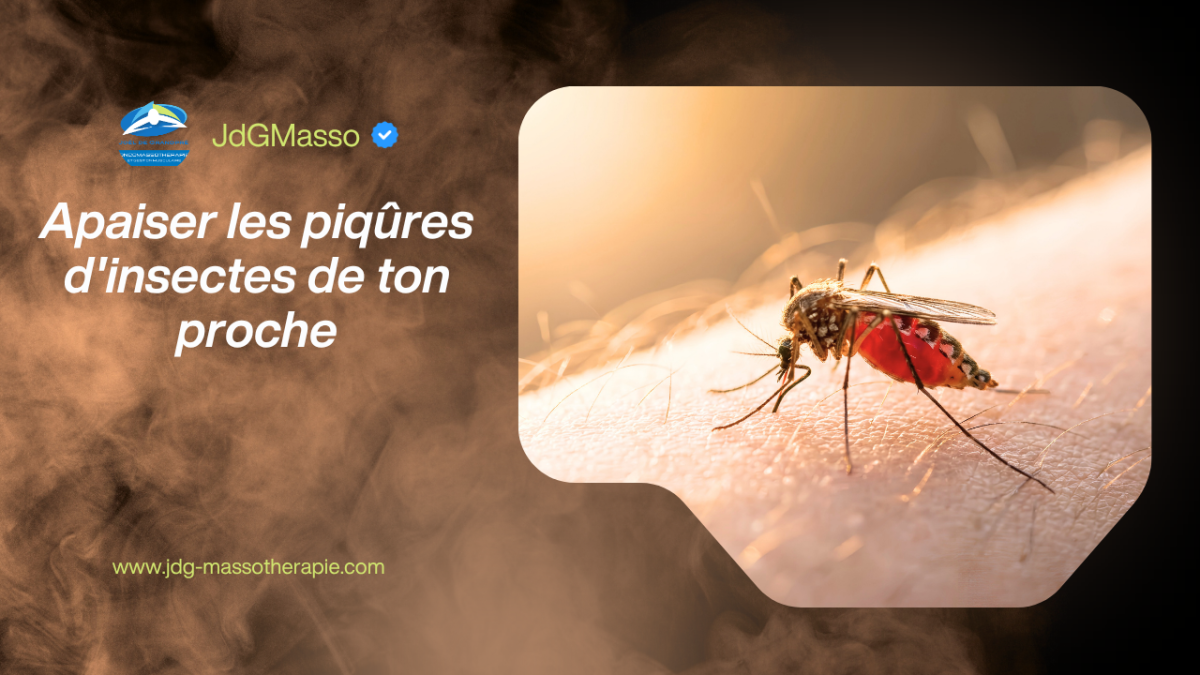 Apaiser les piqûres d&rsquo;insectes de ton proche